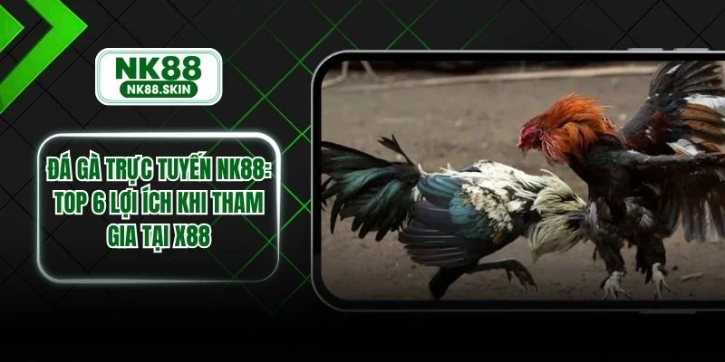 Đá Gà Trực Tuyến NK88 - Top 6 Lợi Ích Khi Tham Gia Tại NK88